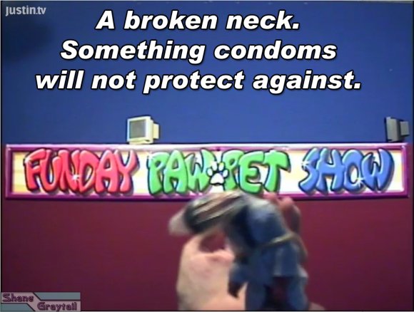 Shane_Graytail-bendyneck