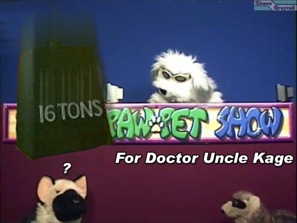 Shane_Graytail-blitzsquish