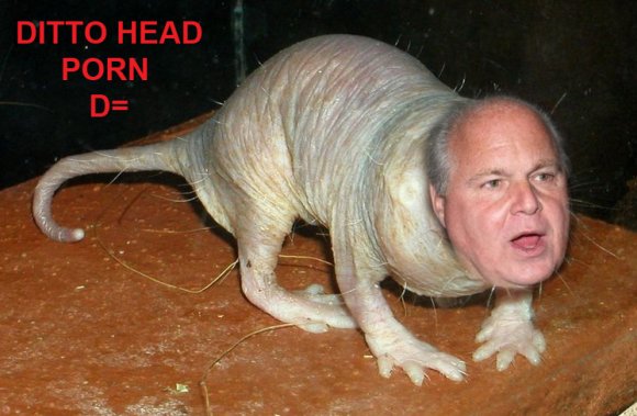 lolwat-dittoheadpron