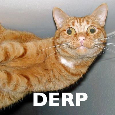 Anonymous-091128-derp