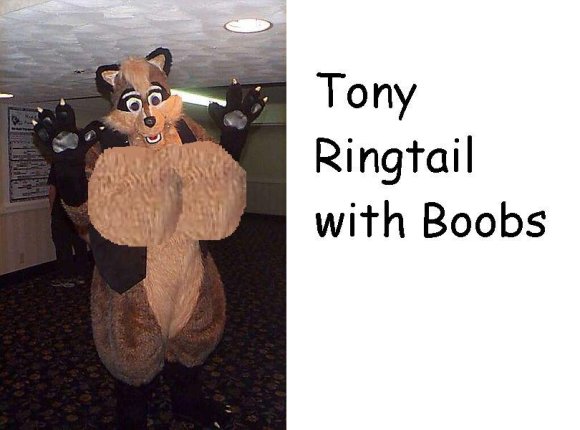 Anonymous-Tony_Ringtail_with_boobs_2