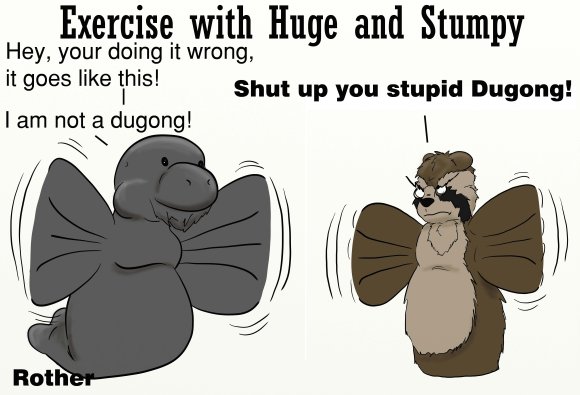 Anonymous-flipper_flap_copy