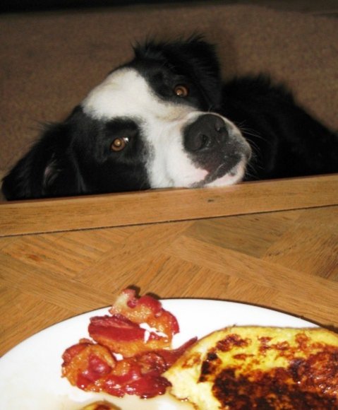 Anonymous-1021-breakfast