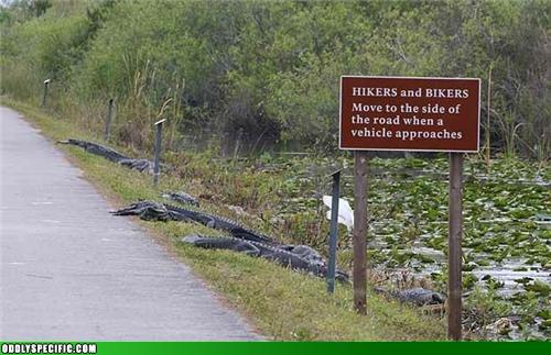 Anonymous-129160231961085589