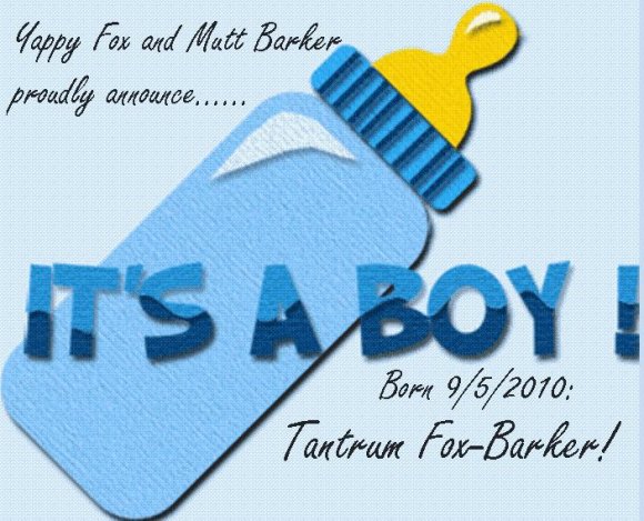 Anonymous-754423407m