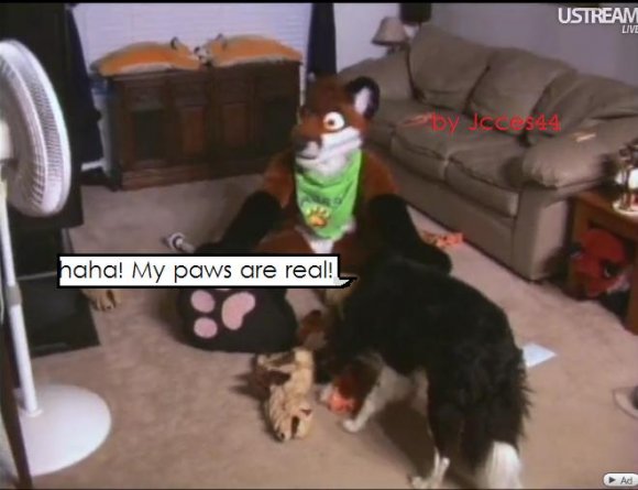 Anonymous-Bandit's_paws_are_real