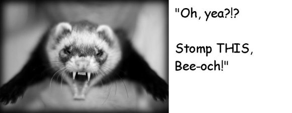 Anonymous-Stomp_this,_Bitch