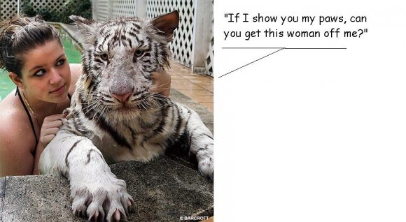 Anonymous-pawsDM3010_468x487