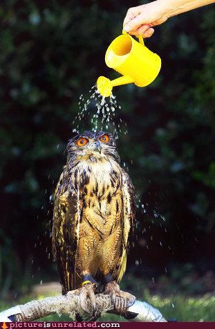 Anonymous-9ccbec9c-6968-4b31-8e31-de41ded6db59