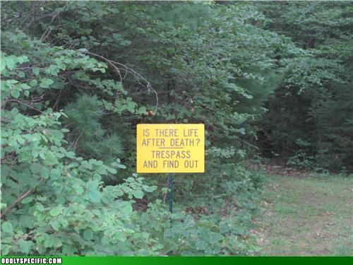 Anonymous-ce51cf3e-f543-4bed-97e8-d8b646b78233