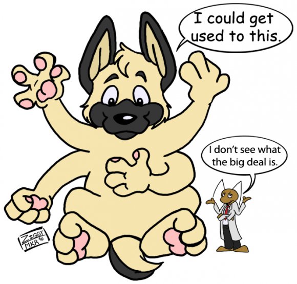 Anonymous-funday4arms