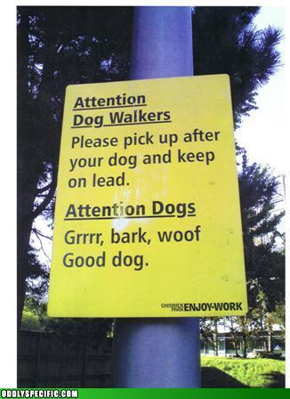 Anonymous-339aebe4-b86a-4de4-8222-13d0a064f6bc