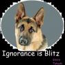 Anonymous-German-Shepherd
