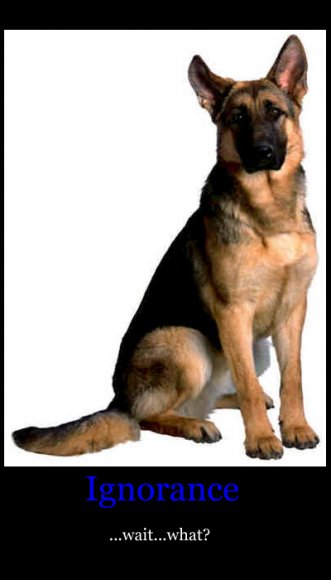 Anonymous-ignoranceblitz