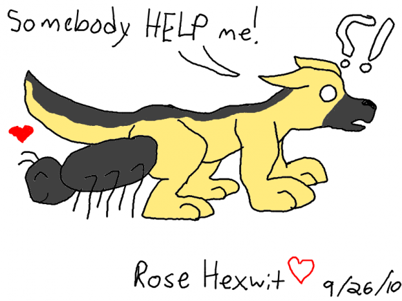 Anonymous-Blitz_Lovebugs