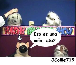 Anonymous-JCollie-SpWoman