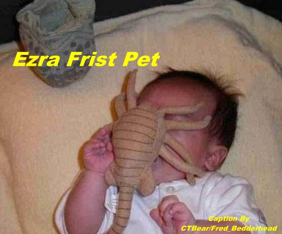 Anonymous-PawPetsBaby02