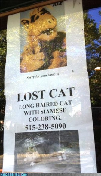 Anonymous-7bd89340-81ed-437e-87e6-31903e83be3c