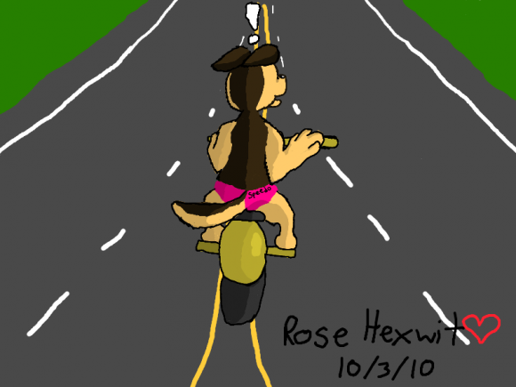 Anonymous-Blitz_Motorcycle