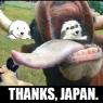Anonymous-pawpetjapan