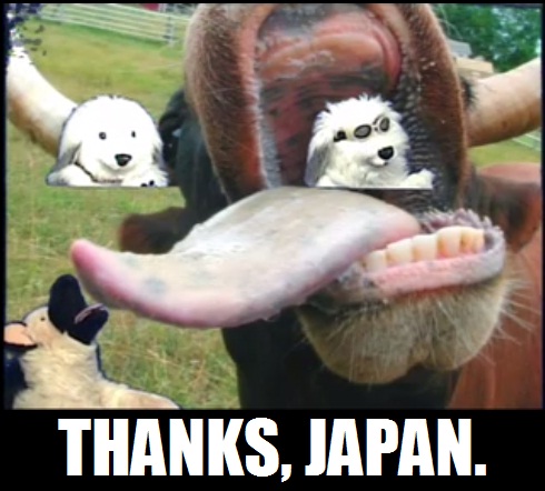 Anonymous-pawpetjapan