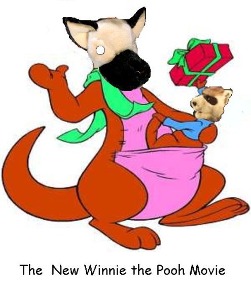 Anonymous-pooh_kanga_roo