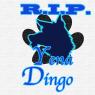 Anonymous-R.I.P._Yena_Dingo-1