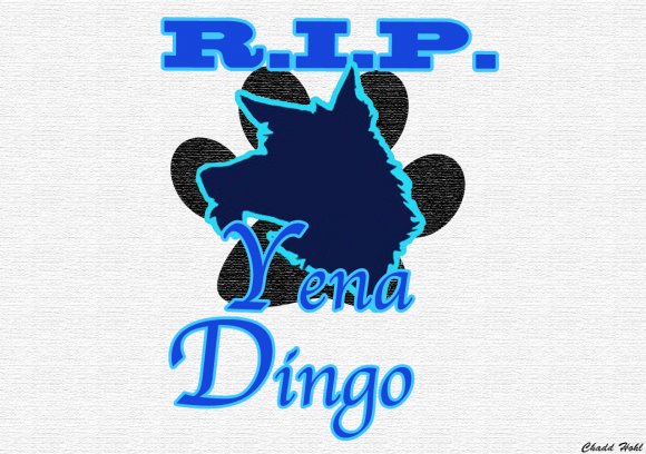 Anonymous-R.I.P._Yena_Dingo-1