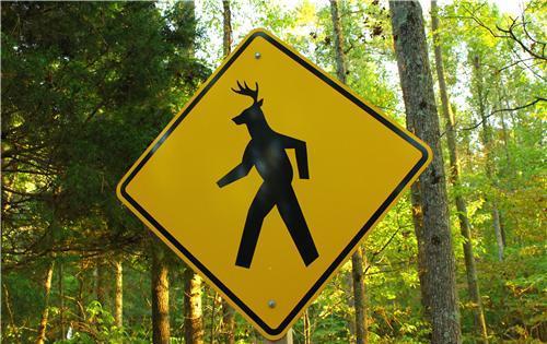 Anonymous-af369b9f-1823-46ec-983e-3eebaa6655b9