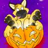 Anonymous-funday_pawpet_blitz_in_a_pumpkin2