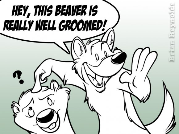 Anonymous-Blitz_Beaver