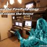 Anonymous-Pawpets_Ghost