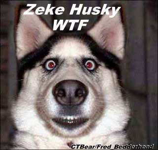 Fred_Bedderhead-FunnyDog