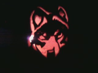 Kanehei-Wolf_Pumpkin