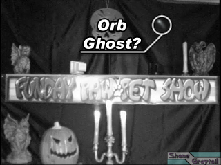 Shane_Graytail-FPSGhost