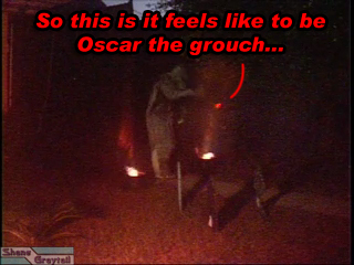 Shane_Graytail-PoinkTGrouch