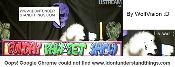 WolfVision-idontunderstandthings