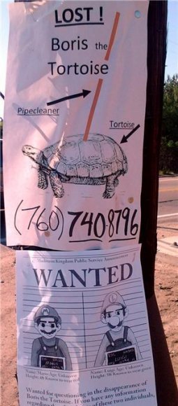 AmandaP-culture-jamming-graffiti-problematic-pet-napping-plummers