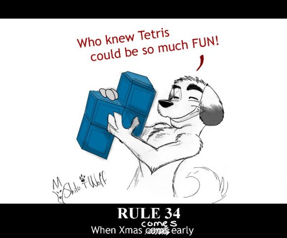 Shilo_T_Wolf_[Mr_T]-shilotwolf_mutt_tetris
