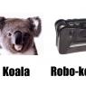 Anonymous-koala
