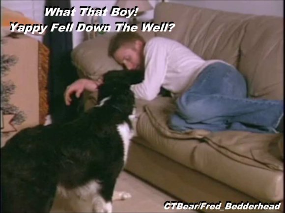 Fred_Bedderhead-YappyFellDownTheWell