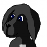 Rose_Hexwit-Welcome_Puppy
