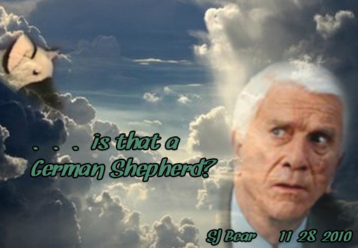 SJ_Bear-sjbear1-leslie