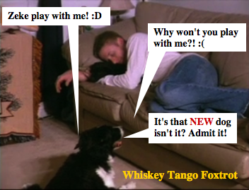 WTF-Zeke_and_dog_thingy