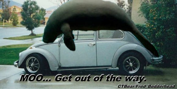 Fred_Bedderhead-Hugh_Drive