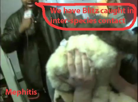 Mephitis-blitz-contact