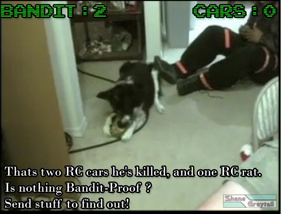 Shane_Graytail-BanditDestroyer