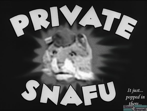 Shane_Graytail-PVTArthur