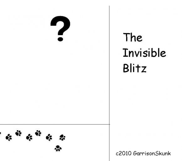 Anonymous-Invisible_blitz