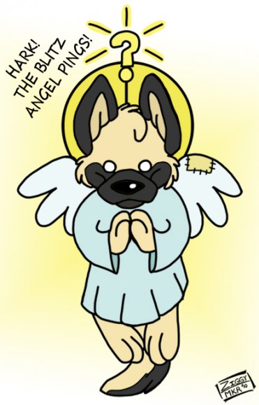 Ziggy3-fundayBlitzAngel